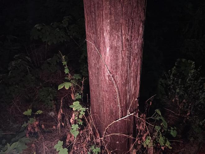 小魔方头灯体验让你爱不释手！瓦力棋牌超轻