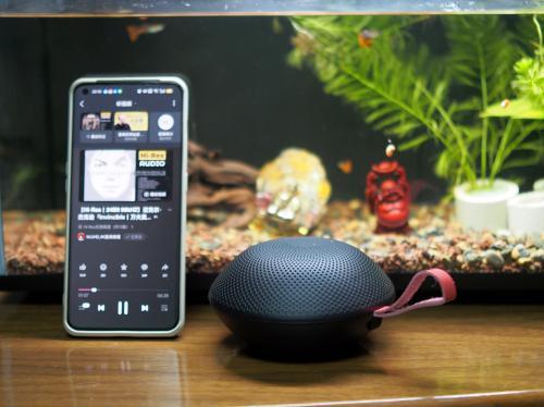 年十大音质最好的蓝牙音箱最新榜单新鲜出炉！瓦力棋牌游戏蓝牙小音箱哪个品牌好？2026(图9)